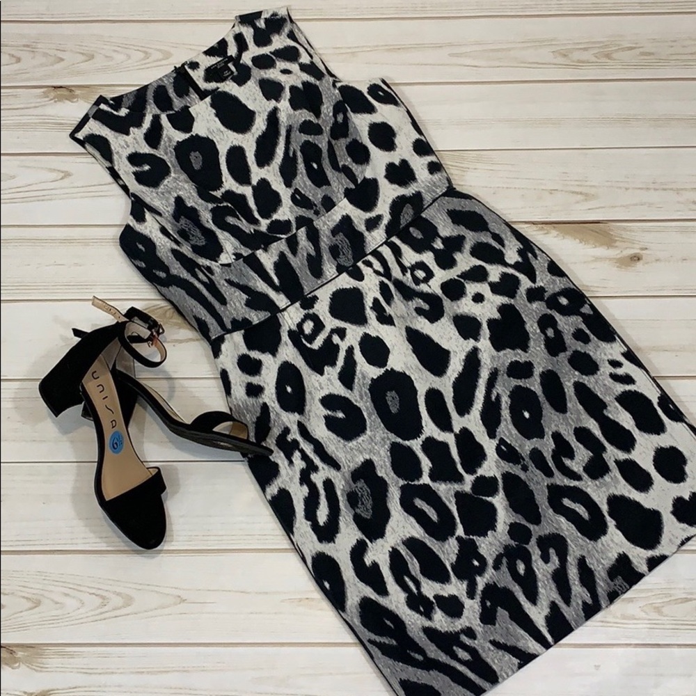 Ann Taylor Petite Snake Sheath - Sz 2P